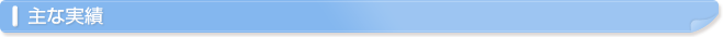 主な実績